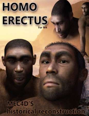 Homo Erectus M4